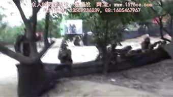 国产野战视频,展现中国军人英勇风采与实战智慧 第3张 国产野战视频,展现中国军人英勇风采与实战智慧 第3张